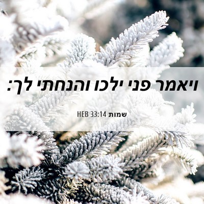 Picture 06 - שמות 33:14 HEB - ויאמר פני ילכו והנחתי - Bible Verse Picture