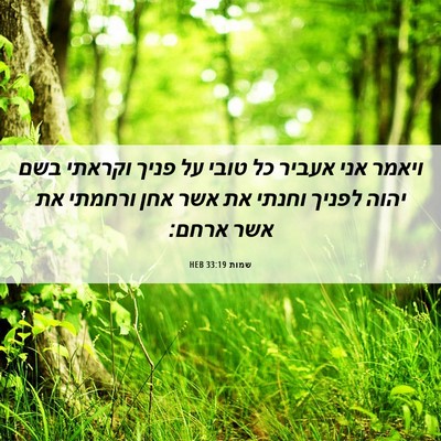 Picture 06 - שמות 33:19 HEB - ויאמר אני אעביר כל טובי על - Bible Verse Picture