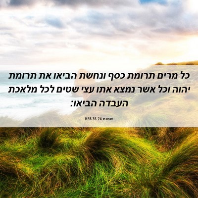 Picture 06 - שמות 35:24 HEB - כל מרים תרומת כסף ונחשת - Bible Verse Picture