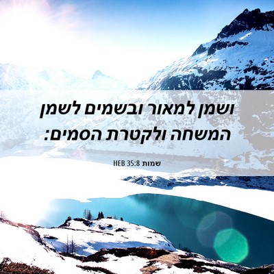 Picture 06 - שמות 35:8 HEB - ושמן למאור ובשמים לשמן - Bible Verse Picture
