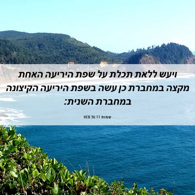 Picture 06 - שמות 36:11 HEB - ויעש ללאת תכלת על שפת - Bible Verse Picture