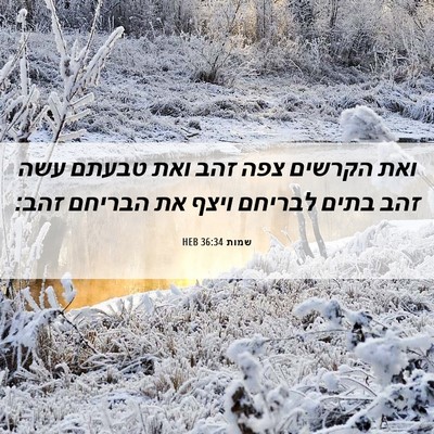Picture 06 - שמות 36:34 HEB - ואת הקרשים צפה זהב ואת - Bible Verse Picture