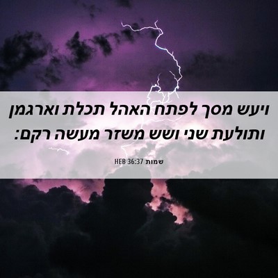 Picture 06 - שמות 36:37 HEB - ויעש מסך לפתח האהל תכלת - Bible Verse Picture