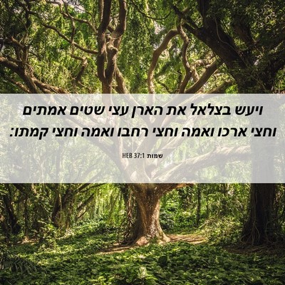 Picture 06 - שמות 37:1 HEB - ויעש בצלאל את הארן עצי שטים - Bible Verse Picture