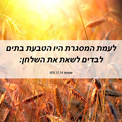 Picture 06 - שמות 37:14 HEB - לעמת המסגרת היו הטבעת בתים - Bible Verse Picture