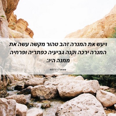 Picture 06 - שמות 37:17 HEB - ויעש את המנרה זהב טהור מקשה - Bible Verse Picture