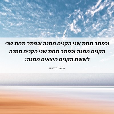 Picture 06 - שמות 37:21 HEB - וכפתר תחת שני הקנים ממנה - Bible Verse Picture