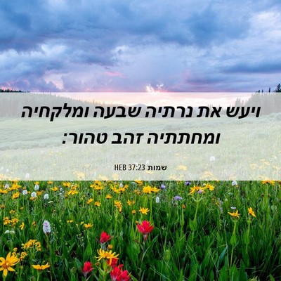 Picture 06 - שמות 37:23 HEB - ויעש את נרתיה שבעה ומלקחיה - Bible Verse Picture
