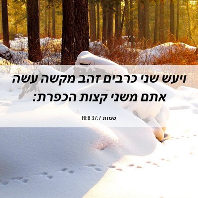 Picture 06 - שמות 37:7 HEB - ויעש שני כרבים זהב מקשה עשה - Bible Verse Picture