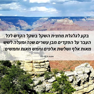 Picture 06 - שמות 38:26 HEB - בקע לגלגלת מחצית השקל בשקל - Bible Verse Picture