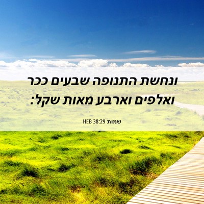 Picture 06 - שמות 38:29 HEB - ונחשת התנופה שבעים ככר - Bible Verse Picture