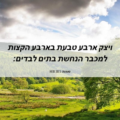 Picture 06 - שמות 38:5 HEB - ויצק ארבע טבעת בארבע הקצות - Bible Verse Picture