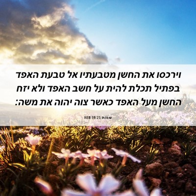 Picture 06 - שמות 39:21 HEB - וירכסו את החשן מטבעתיו אל - Bible Verse Picture