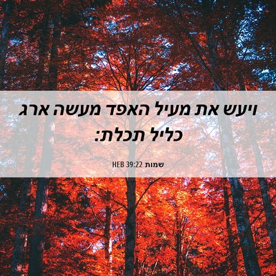 Picture 06 - שמות 39:22 HEB - ויעש את מעיל האפד מעשה ארג - Bible Verse Picture