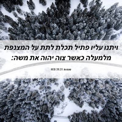 Picture 06 - שמות 39:31 HEB - ויתנו עליו פתיל תכלת לתת על - Bible Verse Picture