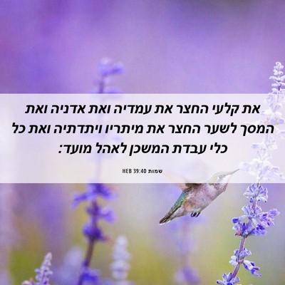 Picture 06 - שמות 39:40 HEB - את קלעי החצר את עמדיה ואת - Bible Verse Picture