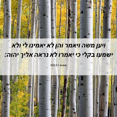 Picture 06 - שמות 4:1 HEB - ויען משה ויאמר והן לא - Bible Verse Picture