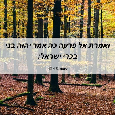 Picture 06 - שמות 4:22 HEB - ואמרת אל פרעה כה אמר יהוה - Bible Verse Picture