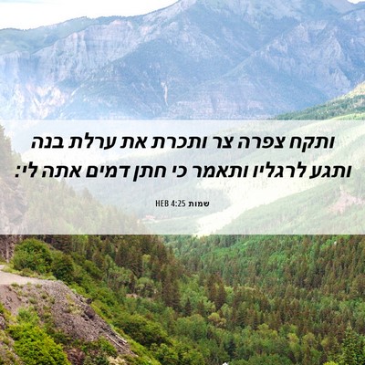 Picture 06 - שמות 4:25 HEB - ותקח צפרה צר ותכרת את ערלת - Bible Verse Picture