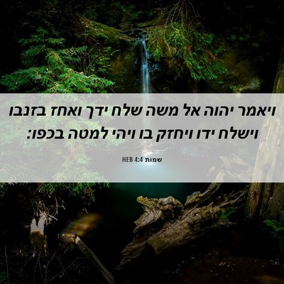 Picture 06 - שמות 4:4 HEB - ויאמר יהוה אל משה שלח ידך - Bible Verse Picture