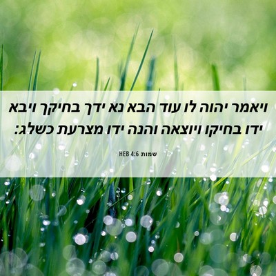 Picture 06 - שמות 4:6 HEB - ויאמר יהוה לו עוד הבא נא - Bible Verse Picture