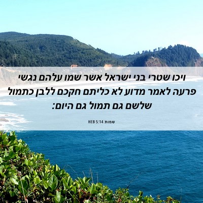 Picture 06 - שמות 5:14 HEB - ויכו שטרי בני ישראל אשר שמו - Bible Verse Picture