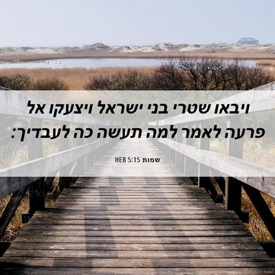 Picture 06 - שמות 5:15 HEB - ויבאו שטרי בני ישראל - Bible Verse Picture