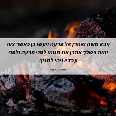 Picture 06 - שמות 7:10 HEB - ויבא משה ואהרן אל פרעה - Bible Verse Picture