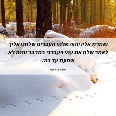 Picture 06 - שמות 7:16 HEB - ואמרת אליו יהוה אלהי - Bible Verse Picture