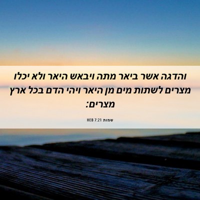 Picture 06 - שמות 7:21 HEB - והדגה אשר ביאר מתה ויבאש - Bible Verse Picture