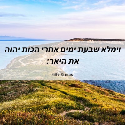 Picture 06 - שמות 7:25 HEB - וימלא שבעת ימים אחרי הכות - Bible Verse Picture