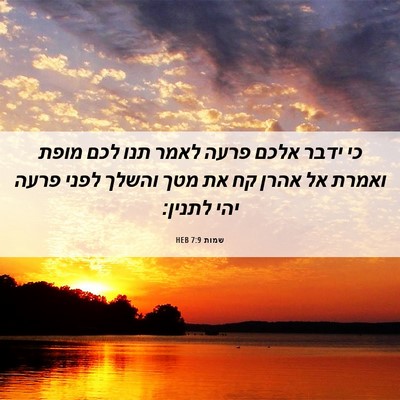Picture 06 - שמות 7:9 HEB - כי ידבר אלכם פרעה לאמר תנו - Bible Verse Picture