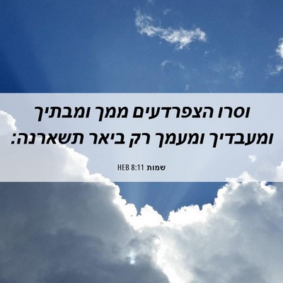 Picture 06 - שמות 8:11 HEB - וסרו הצפרדעים ממך ומבתיך - Bible Verse Picture
