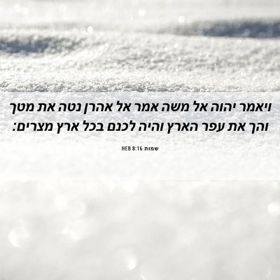 Picture 06 - שמות 8:16 HEB - ויאמר יהוה אל משה אמר אל - Bible Verse Picture