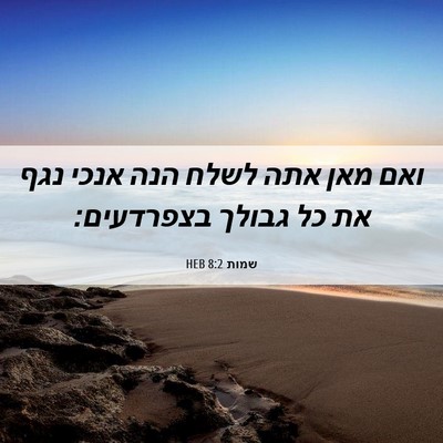Picture 06 - שמות 8:2 HEB - ואם מאן אתה לשלח הנה אנכי - Bible Verse Picture