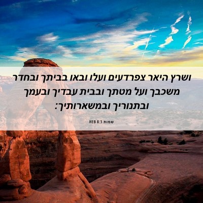 Picture 06 - שמות 8:3 HEB - ושרץ היאר צפרדעים ועלו - Bible Verse Picture