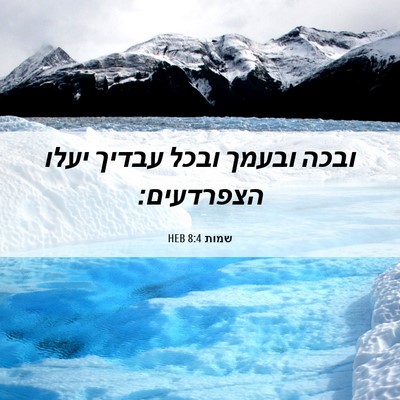 Picture 06 - שמות 8:4 HEB - ובכה ובעמך ובכל עבדיך יעלו - Bible Verse Picture