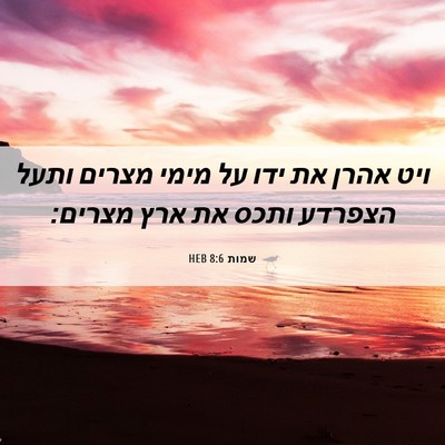 Picture 06 - שמות 8:6 HEB - ויט אהרן את ידו על מימי - Bible Verse Picture