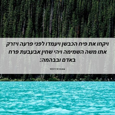 Picture 06 - שמות 9:10 HEB - ויקחו את פיח הכבשן ויעמדו - Bible Verse Picture