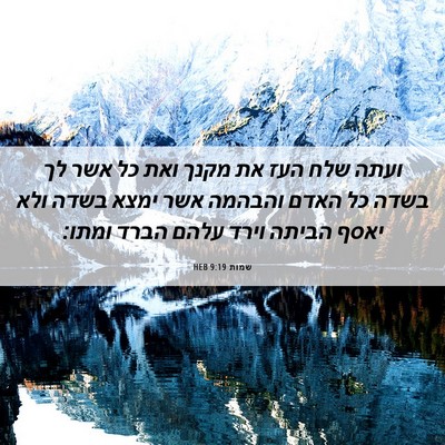 Picture 06 - שמות 9:19 HEB - ועתה שלח העז את מקנך ואת כל - Bible Verse Picture