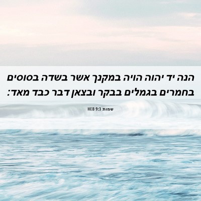 Picture 06 - שמות 9:3 HEB - הנה יד יהוה הויה במקנך אשר - Bible Verse Picture