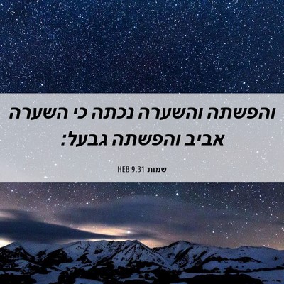 Picture 06 - שמות 9:31 HEB - והפשתה והשערה נכתה כי - Bible Verse Picture