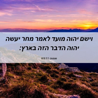 Picture 06 - שמות 9:5 HEB - וישם יהוה מועד לאמר מחר - Bible Verse Picture