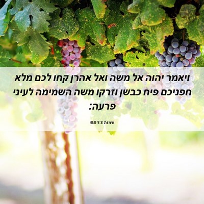 Picture 06 - שמות 9:8 HEB - ויאמר יהוה אל משה ואל אהרן - Bible Verse Picture