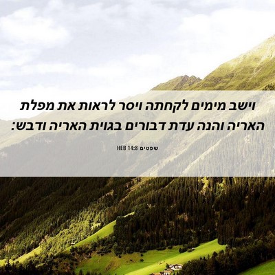 Picture 06 - שפטים 14:8 HEB - וישב מימים לקחתה ויסר - Bible Verse Picture