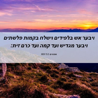 Picture 06 - שפטים 15:5 HEB - ויבער אש בלפידים וישלח - Bible Verse Picture