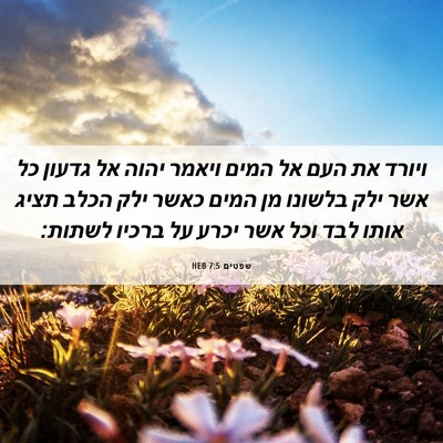 Picture 06 - שפטים 7:5 HEB - ויורד את העם אל המים ויאמר - Bible Verse Picture