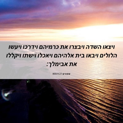 Picture 06 - שפטים 9:27 HEB - ויצאו השדה ויבצרו את - Bible Verse Picture