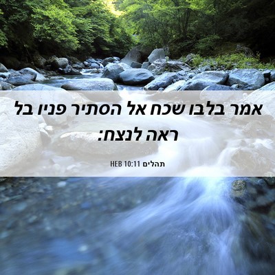 Picture 06 - תהלים 10:11 HEB - אמר בלבו שכח אל הסתיר פניו - Bible Verse Picture