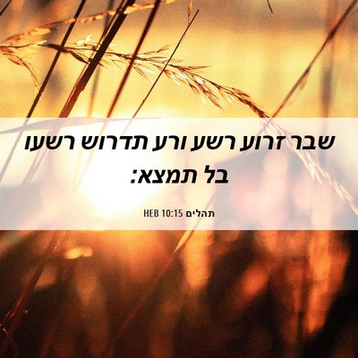 Picture 06 - תהלים 10:15 HEB - שבר זרוע רשע ורע תדרוש רשעו - Bible Verse Picture